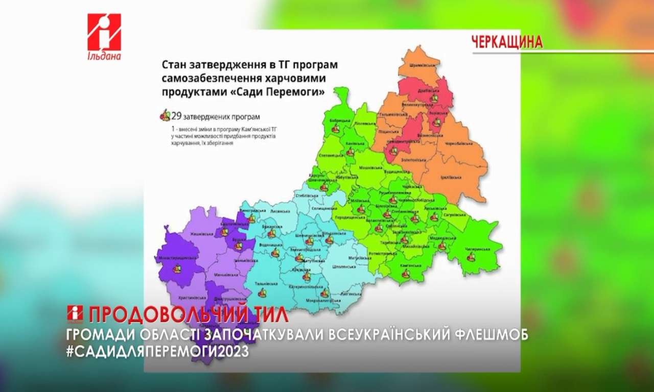 Громади Черкащини висадили тонни картоплі для ВПО та ЗСУ (ВІДЕО)